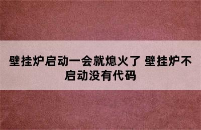 壁挂炉启动一会就熄火了 壁挂炉不启动没有代码